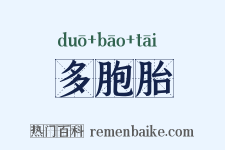 多胞胎是什么意思的图片